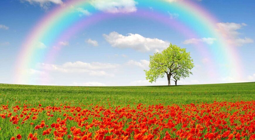 Keindahan di setiap fase : pemikiran yang melampaui pemikiran dikotomis